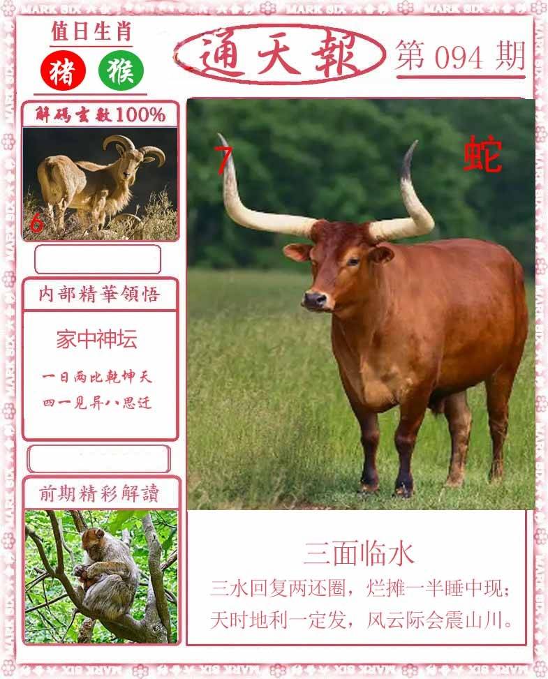 正版通天报