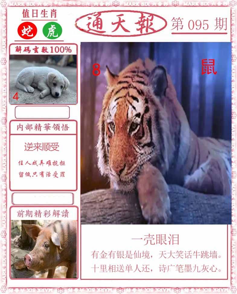 正版通天报