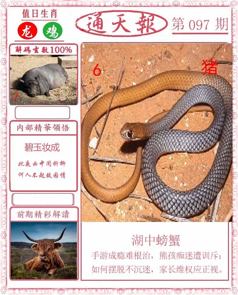 正版通天报