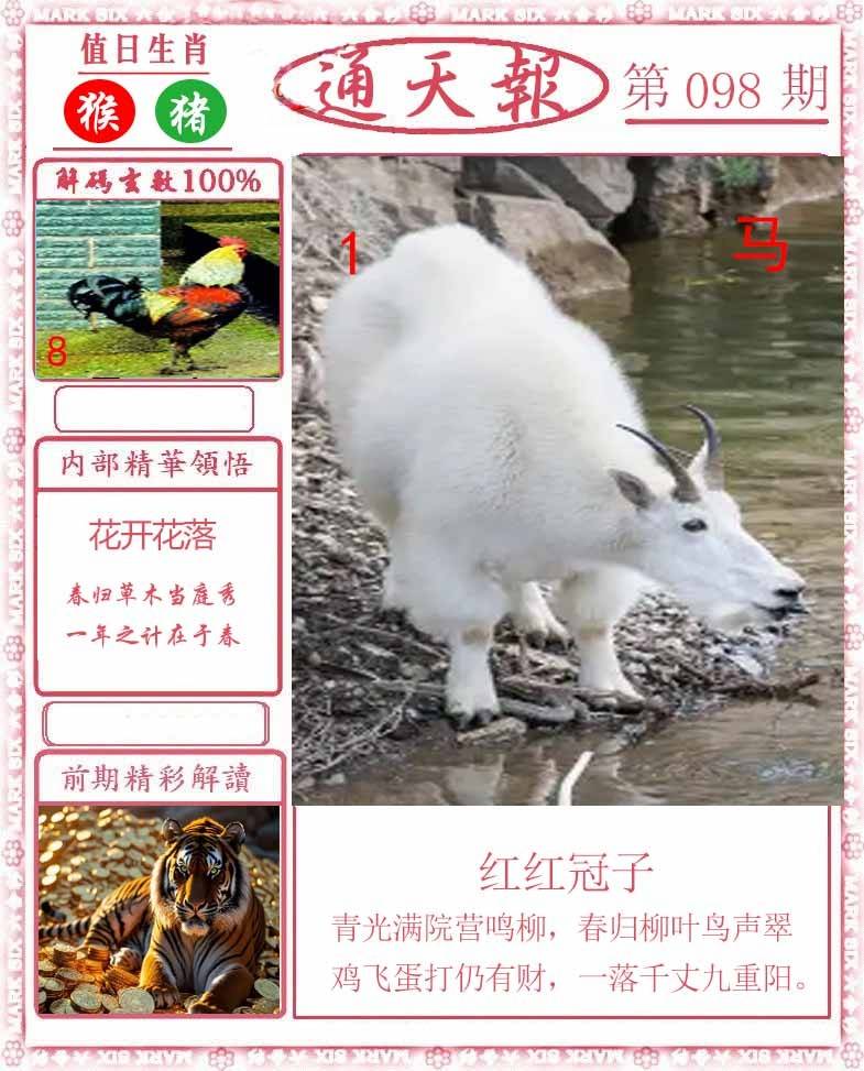 正版通天报
