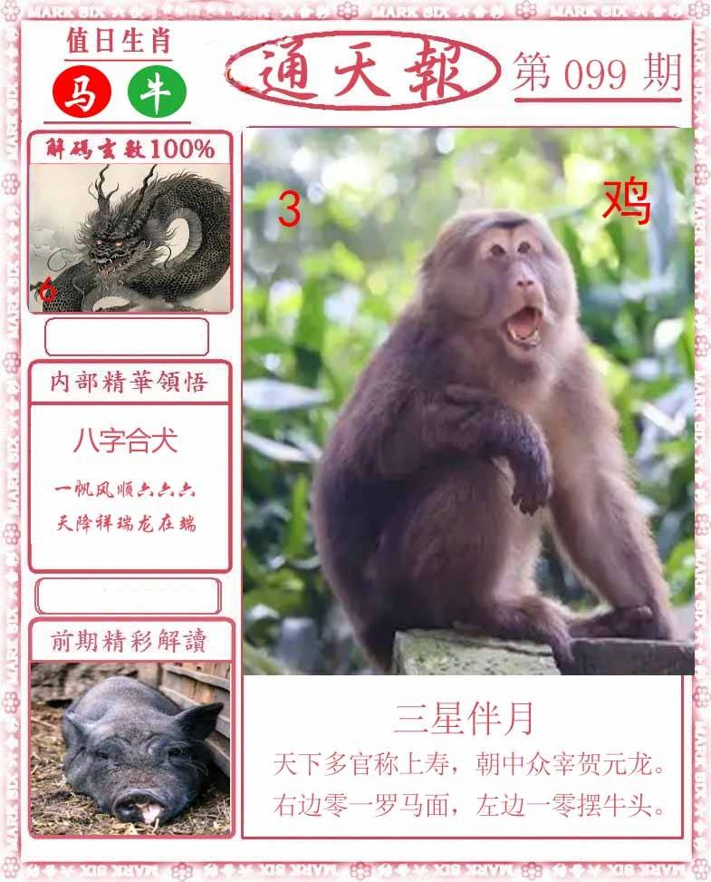 正版通天报