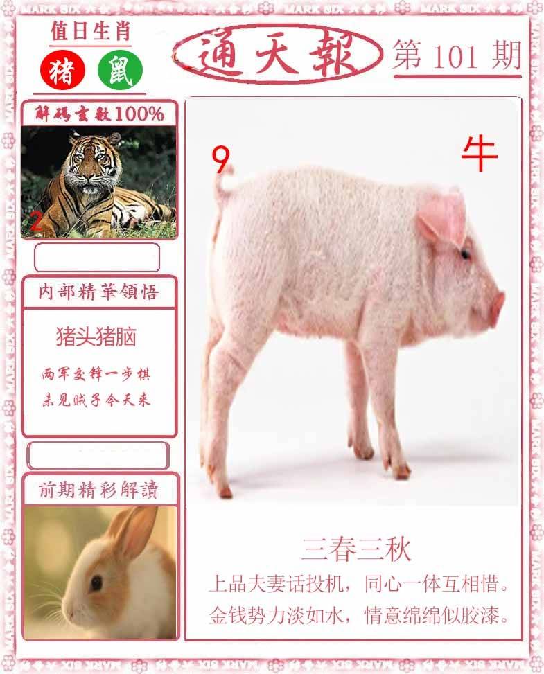 正版通天报