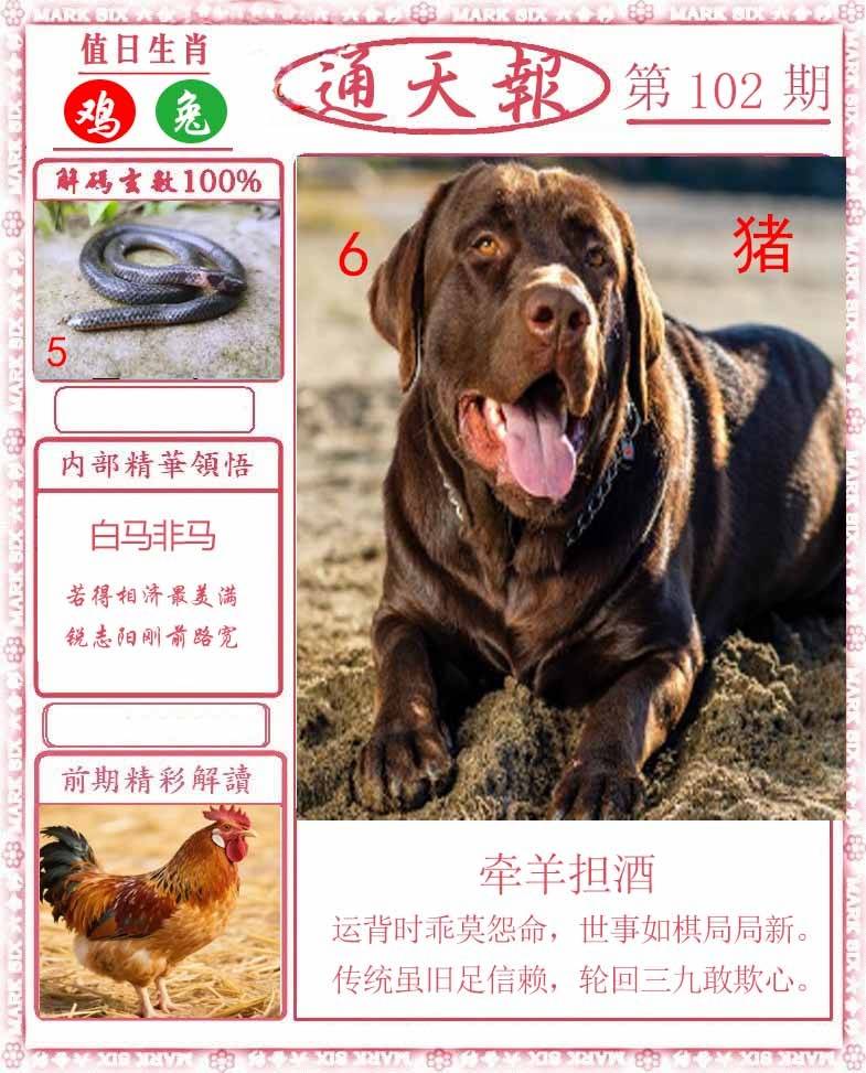 正版通天报
