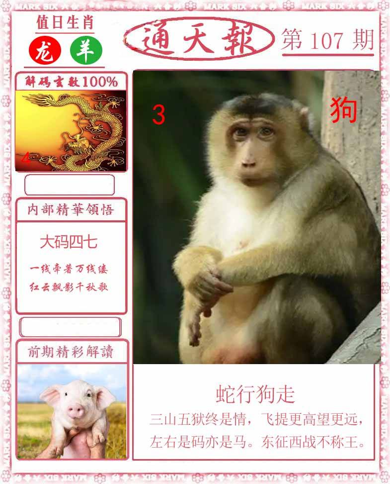 正版通天报