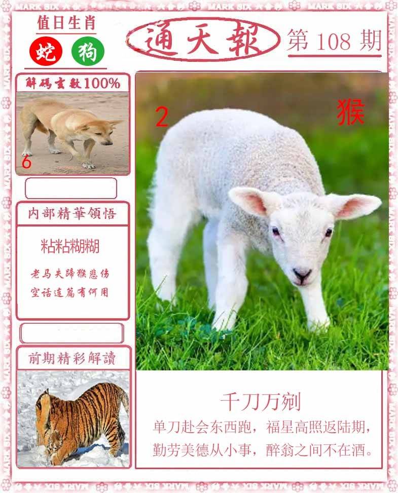 正版通天报