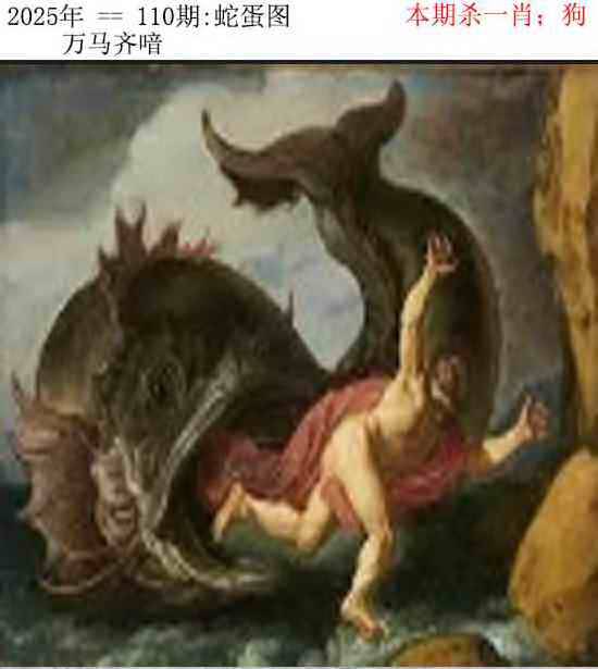 正版蛇蛋图