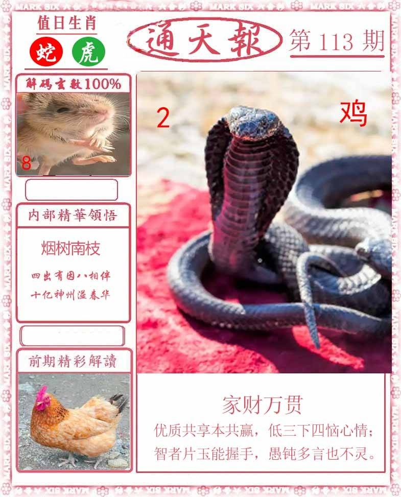 正版通天报