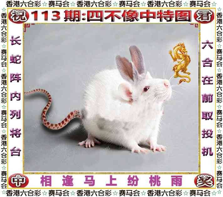 正版四不像