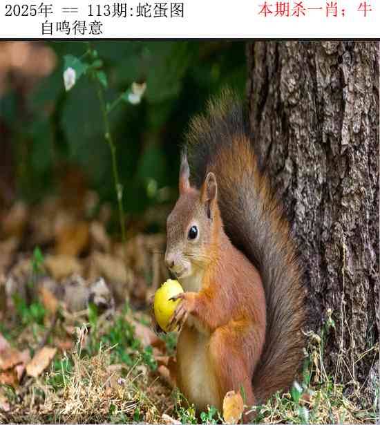 正版蛇蛋图