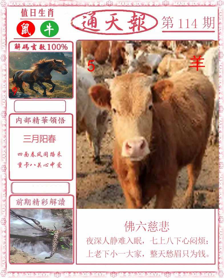 正版通天报