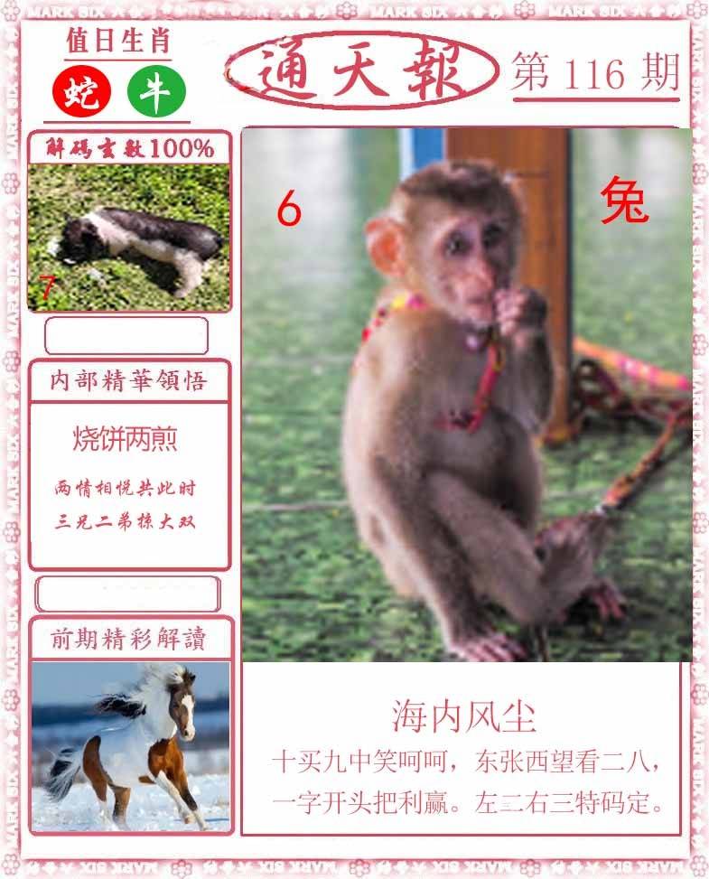 正版通天报