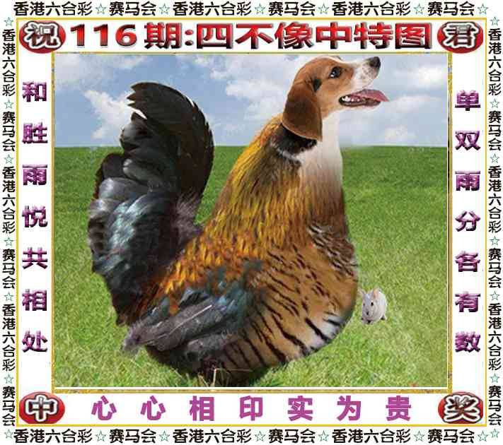 正版四不像