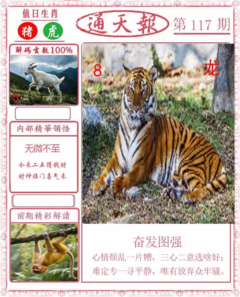 正版通天报